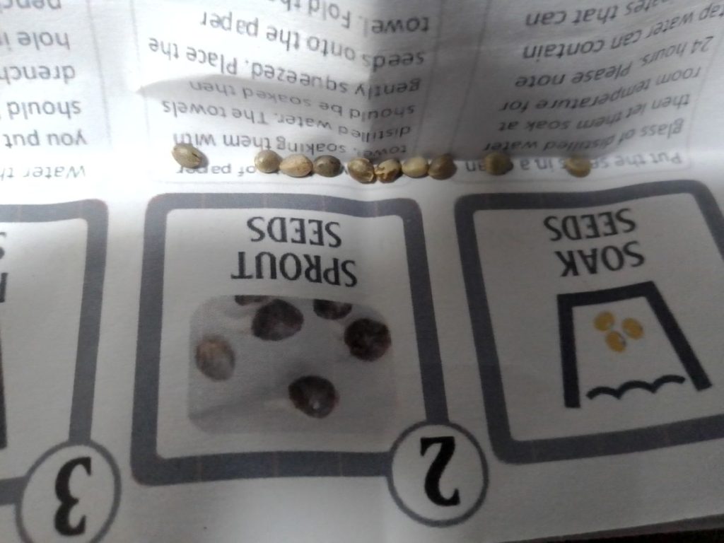 Image #1 from Anonymous