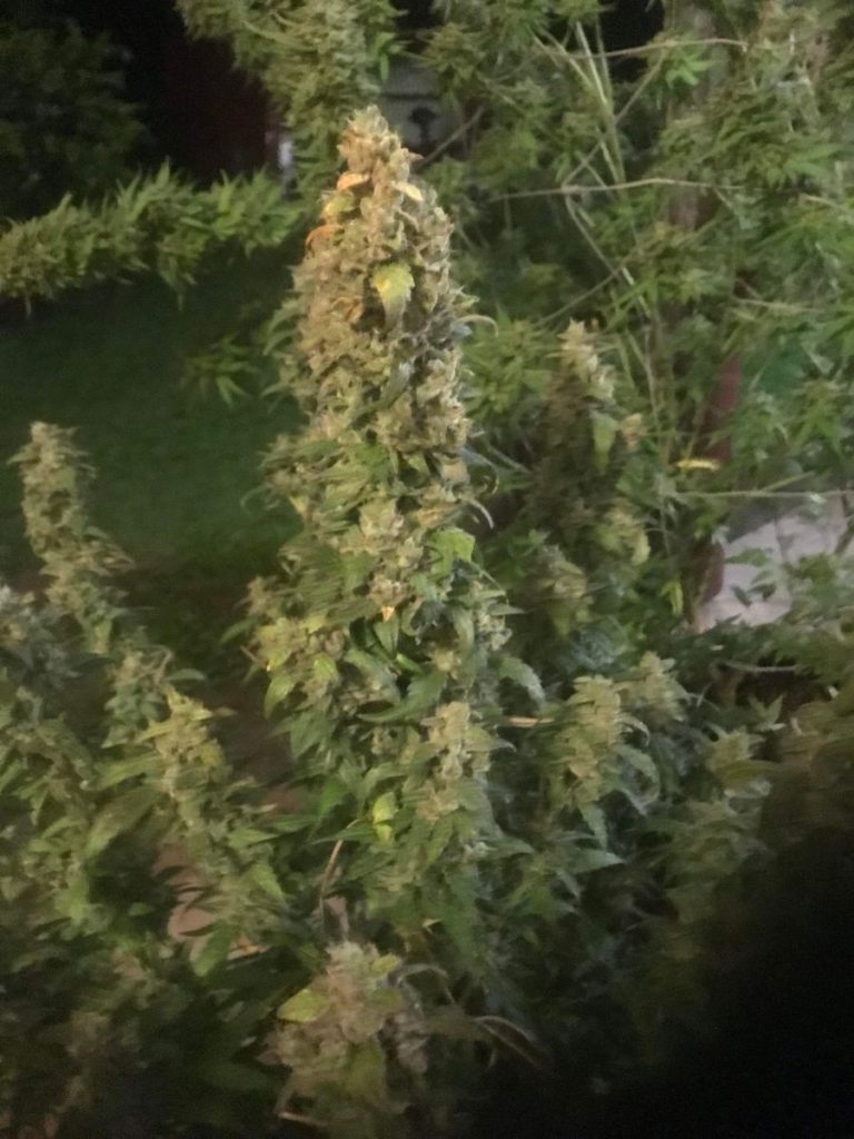 Image #2 from Aaron B.