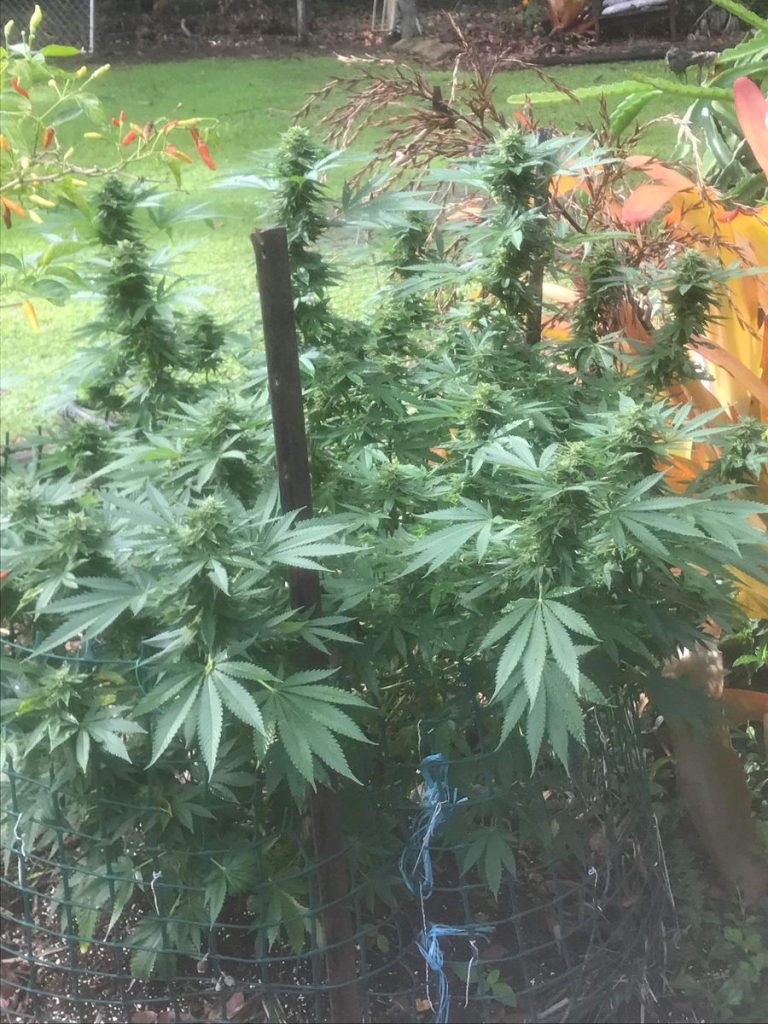 Image #1 from Aaron B.