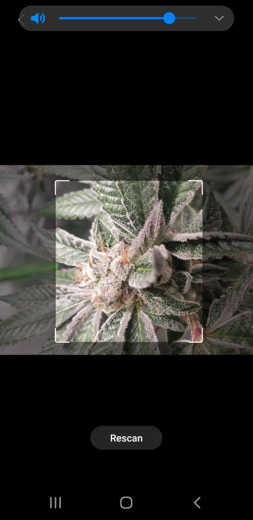 Image #1 from David M.