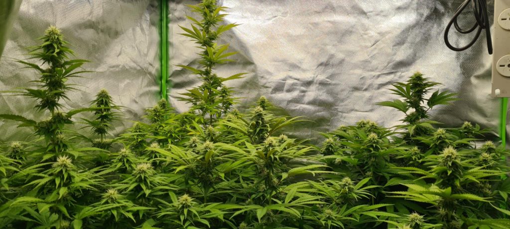 Image #1 from Anonymous