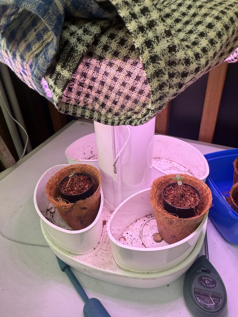 Image #2 from christoher sammons