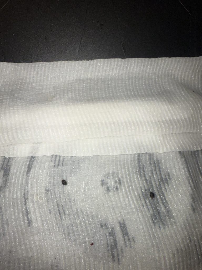 Image #3 from christoher sammons