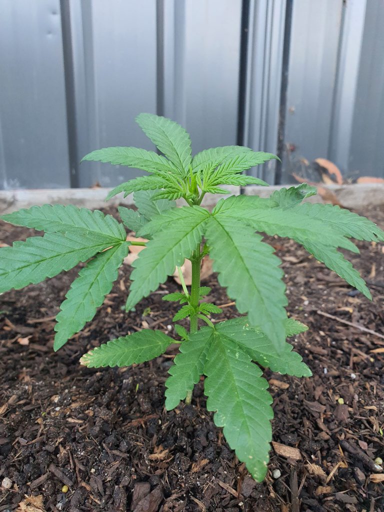 Image #1 from Mick Pluck