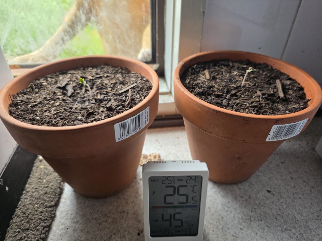 Image #2 from Bradley o.